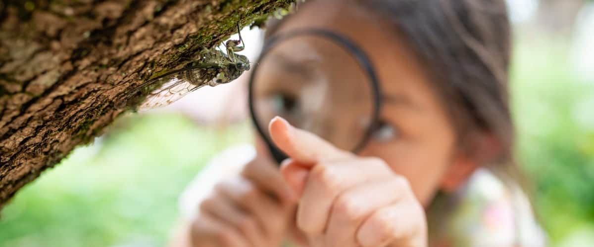 A girl looks at an insect using a magnifying glass